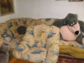 /album/sedacky-a-kresla/dscf5400-jpg/